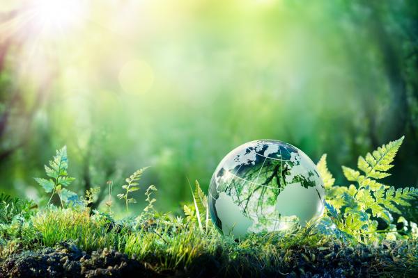 Green transition